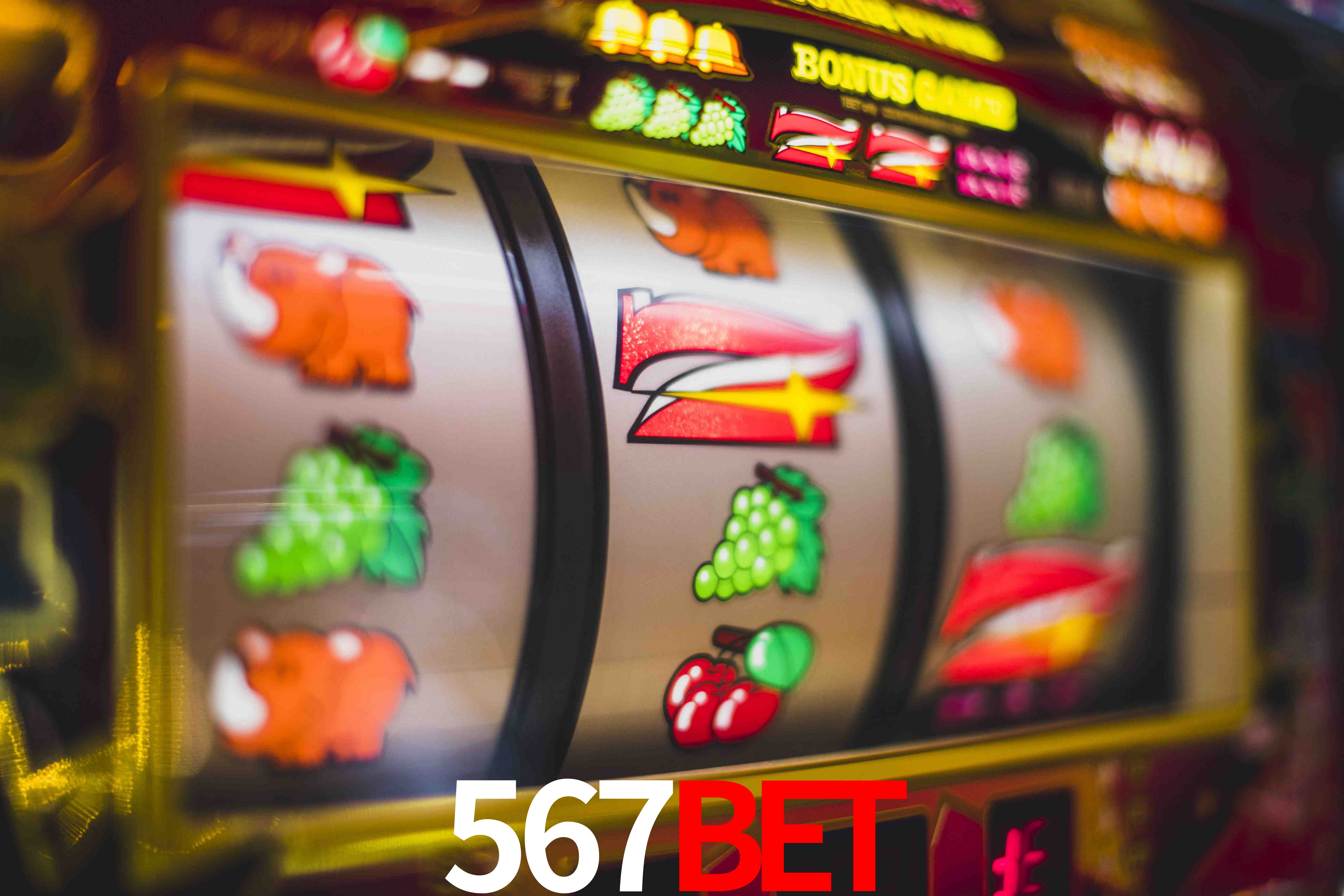 VIP Casino 567bet
